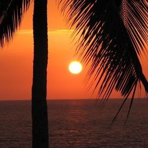 Meet your Posher, Don